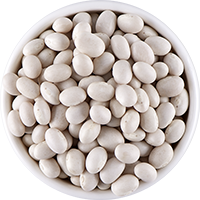 White Navy Pea bean
