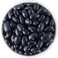 Black Bean